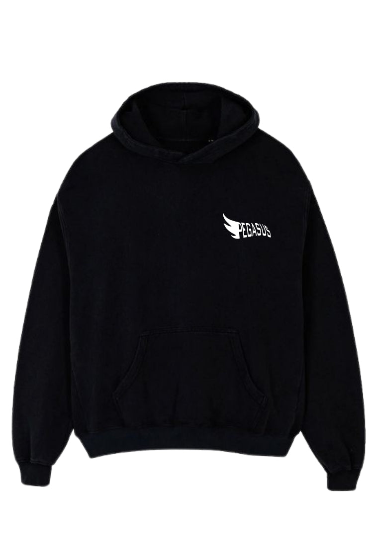 Regular Unisex hoodie