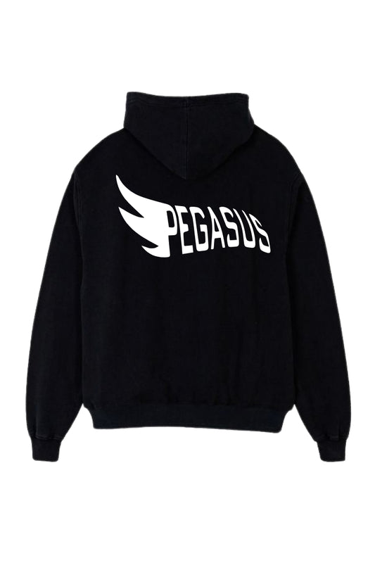 Regular Unisex hoodie