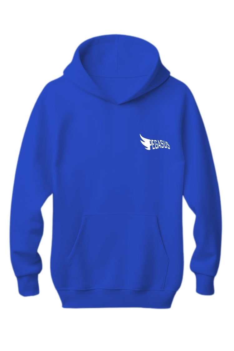 Regular Unisex hoodie