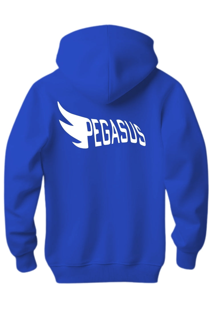 Regular Unisex hoodie