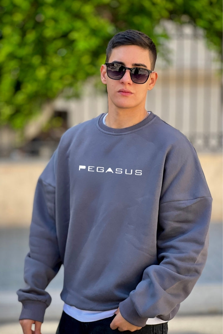 Oversized unisex sweatshirt