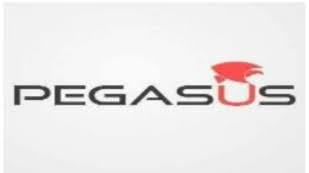 pegasusegy.com